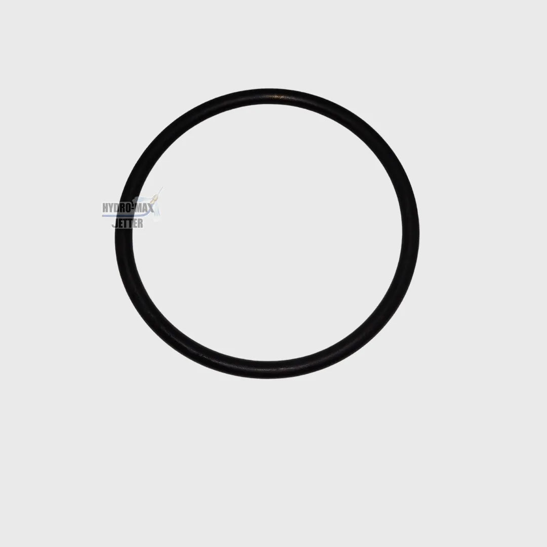 Strainer O-Ring For Eagle 300/600